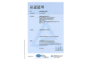 莱茵认证证书(中文版）